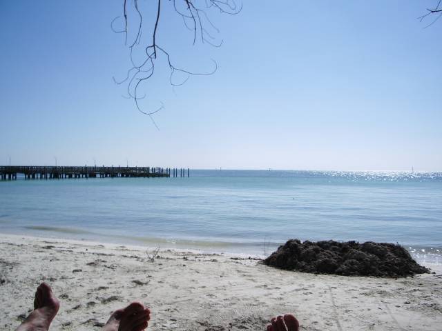Beach in Key West Photograph of beach in Key West